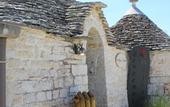 Туры в отель La Rosa dei Trulli B&B