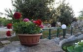 Туры в отель La Rosa dei Trulli B&B