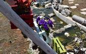 Туры в отель La Rosa dei Trulli B&B