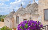 Туры в отель La Rosa dei Trulli B&B