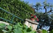 Туры в отель La Rosa dei Trulli B&B