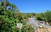 Туры в отель La Rosa dei Trulli B&B