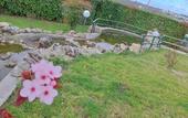 Туры в отель La Rosa dei Trulli B&B