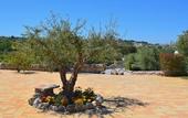 Туры в отель La Rosa dei Trulli B&B