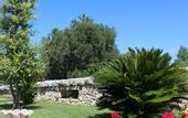Туры в отель La Rosa dei Trulli B&B