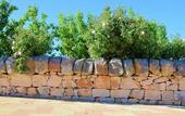 Туры в отель La Rosa dei Trulli B&B