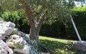 Туры в отель La Rosa dei Trulli B&B