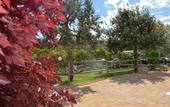 Туры в отель La Rosa dei Trulli B&B