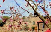Туры в отель La Rosa dei Trulli B&B