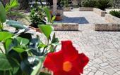Туры в отель La Rosa dei Trulli B&B
