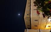 Туры в отель Al Centro Luxury Home