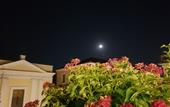 Туры в отель Al Centro Luxury Home