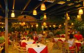 Туры в отель Molfetta Beach Hotel