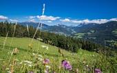Туры в отель Hotel Ansitz Steinbock