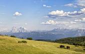 Туры в отель Hotel Ansitz Steinbock
