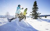 Туры в отель Hotel Ansitz Steinbock
