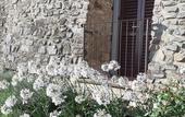 Туры в отель Hotel le Macine