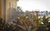 Туры в отель Saint Joseph Resort