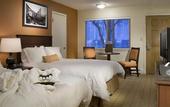 Туры в отель Molly Gibson Lodge