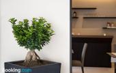 Туры в отель Hotel Palazzo Argenta