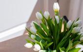 Туры в отель Kbirr Charming House