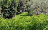 Туры в отель Fauno Urban Resort