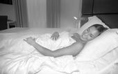 Туры в отель Hotel Fioralba