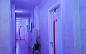Туры в отель Hotel Fioralba