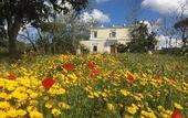 Туры в отель Villa De Cillis Carafa