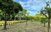 Туры в отель Villa De Cillis Carafa