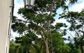 Туры в отель Villa De Cillis Carafa