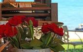 Туры в отель Sunprime Platanias Beach Suites & Spa