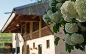 Туры в отель Domus Cariana
