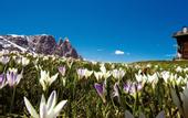 Туры в отель Sensoria Dolomites