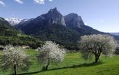 Туры в отель Sensoria Dolomites