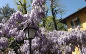 Туры в отель Villa Mirano B&B
