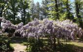 Туры в отель Villa Mirano B&B