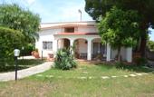 Туры в отель Villa Lucia