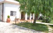 Туры в отель Villa Lucia