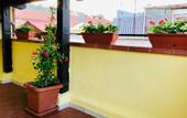 Туры в отель Il Terrazzino