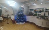Туры в отель Hotel Baiardo