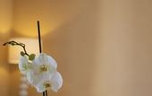 Туры в отель Aurum Suites