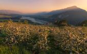 Туры в отель Relais Villa Quercia