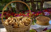 Туры в отель Romantic Relais Sorrento