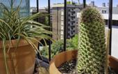 Туры в отель Italianway Comfort - Voghera 11 B