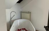 Туры в отель Domino Hotel