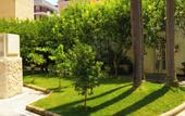 Туры в отель Villa Magnolia