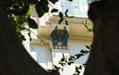 Туры в отель Villa Magnolia
