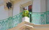 Туры в отель Villa Magnolia