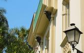 Туры в отель Villa Magnolia